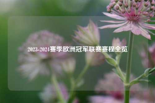 2023-2024赛季欧洲冠军联赛赛程全览