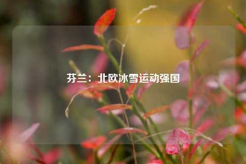 芬兰:北欧冰雪运动强国