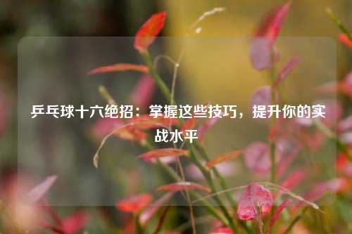 乒乓球十六绝招:掌握这些技巧,提升你的实战水平
