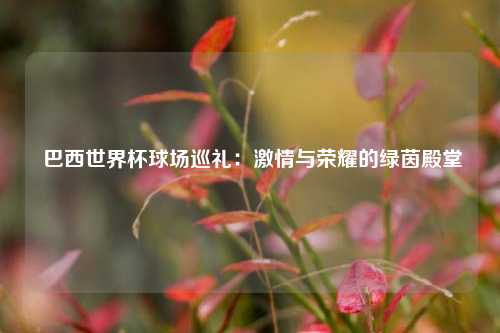 巴西世界杯球场巡礼:激情与荣耀的绿茵殿堂