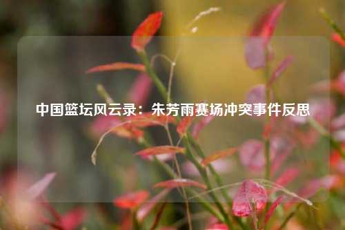 中国篮坛风云录:朱芳雨赛场冲突事件反思