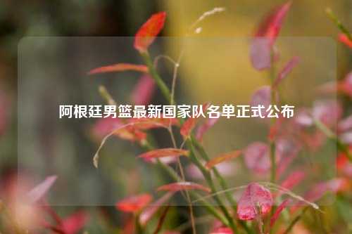 阿根廷男篮最新国家队名单正式公布