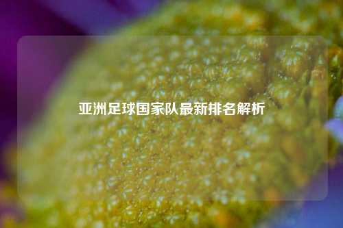 亚洲足球国家队最新排名解析